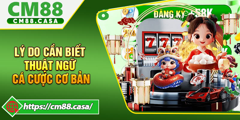 Lý do cần nắm chắc thuật ngữ cá cược cơ bản